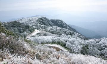 Những địa điểm ngắm tuyết rơi đẹp nhất tại Việt Nam